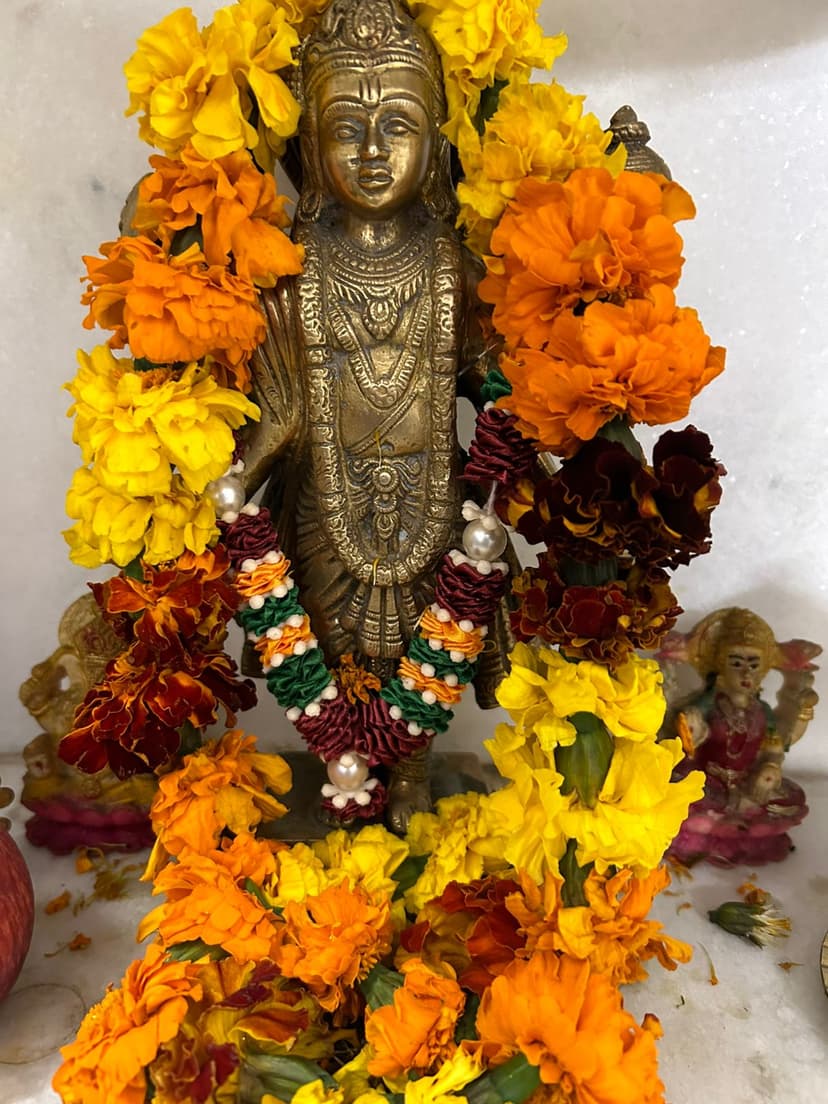 Himalaya Sanjeevni Ayurveda